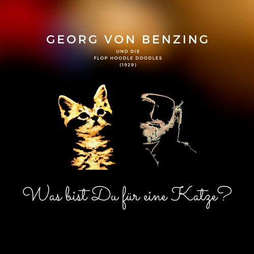 Was Bist Du Fur Eine Katze By Georg Von Benzing