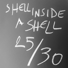 shell inside a shell