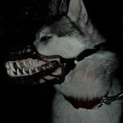 MY FAVVZZZ 3.0 (I have WAY to many favorites)