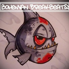 Bohemian Breaks Feb 2024