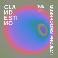 Clandestino 166 - Mushrooms Project