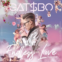 MIXSET - ENDLESS LOVE - DJ Gatsbo