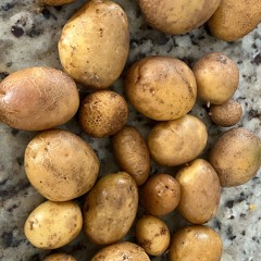 Solit Beats Explorations 36: Come Together