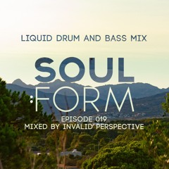 Soul.Form Episode 019 - Invalid Perspective (Liquid Drum and Bass Mix)