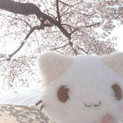 в глазах твоих