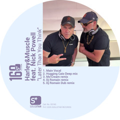 Later Than You Think (DJ Romain Dub Remix) [feat. Nick Powell]