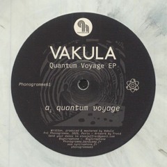Quantum Voyage