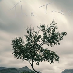 The Tree