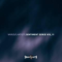 [SCSS011] VARIOUS ARTISTS - SENTIMENT SERIES VOL.11