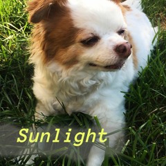 Sunlight