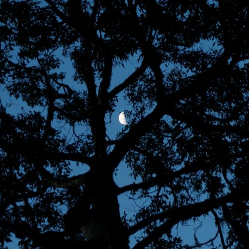 Moondaze