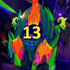 From the Pond 13 - Nest Fest 21 - Caravan Dreaming Live