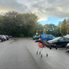 Morning Glory w/ mish: 7th November '25