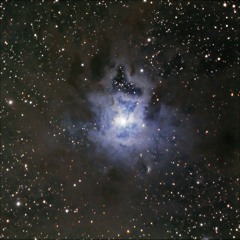 Iris Gaia 01