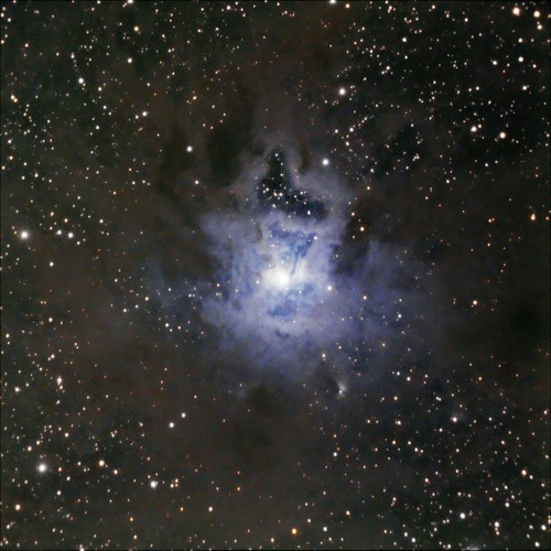 Iris Gaia 01