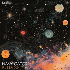 Navy Gator - Pleiads (Original Mix)
