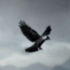 Icarus 2ID2