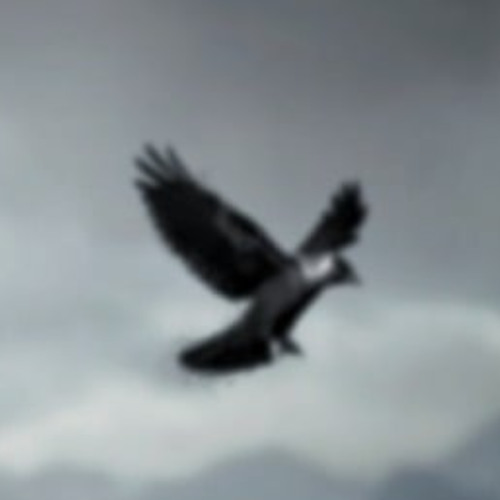Icarus 2ID2