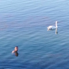 Playa Fome - Llámame si me necesitas (remix del buenclima)