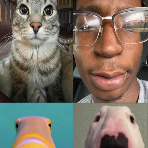 Fortnite double pump fas (rollie)