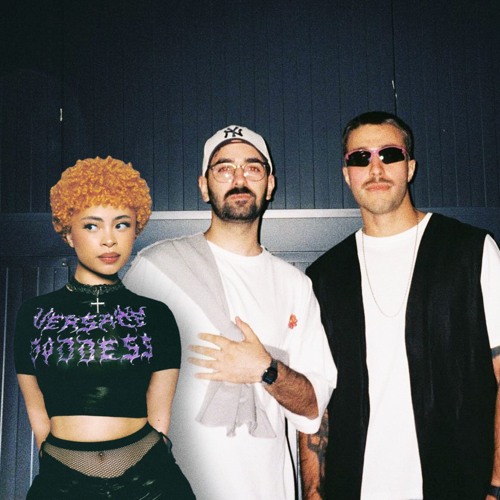 MODJO - LADY (MAGIC FLOWERS FLIP) x Ice Spice (Tdesu Blend)