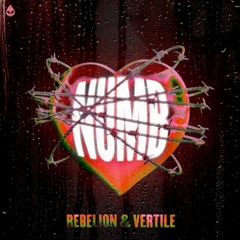 Rebelion & Vertile-NUMB (Bendeguz's Remix)
