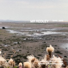 MR REDLEY 18.10.22