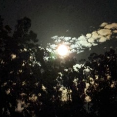 1shot1chance & yung Kirk - grown asf