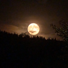 creed freestyle 🧟‍♂️🧌         beat. eminent beatz