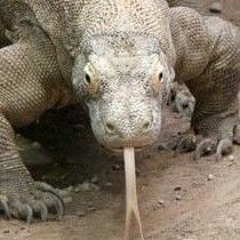 Komodo Dragon - Block Tales OST if it was awesome