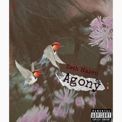 Agony ( Zeth Remix )
