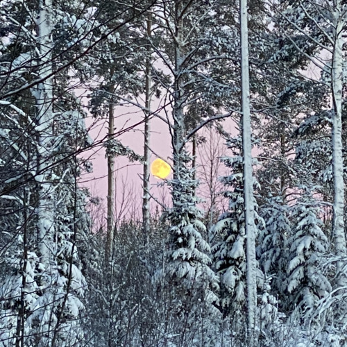 Sweet Blip 4.0 (garageband)