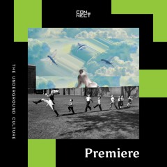 PREMIERE: Cesare vs Disorder - I Used To Hold You feat. Joe Le Groove [Serialism Records]