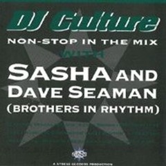 Dave Seaman - DJ Culture - Heavanly Stress - 1993