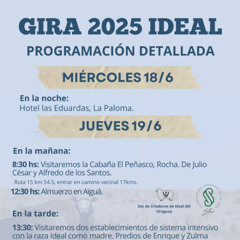 Facundo Martinicorena - Gira Ideal 2025