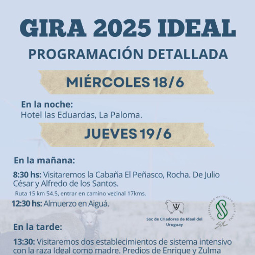 Facundo Martinicorena - Gira Ideal 2025