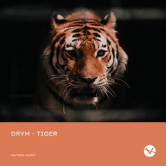 DRYM - Tiger