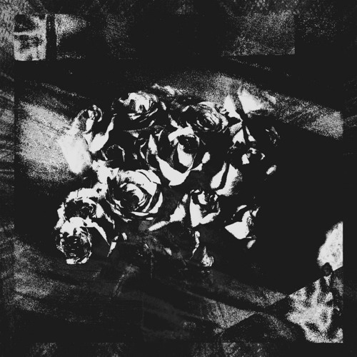 SELF IMMOLATION (Feat. Kaiju Soup)