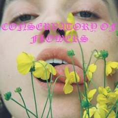 Conservatory Of Flowers