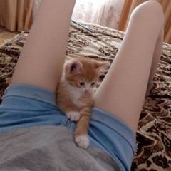 breakup + p1urr (snuffriend)