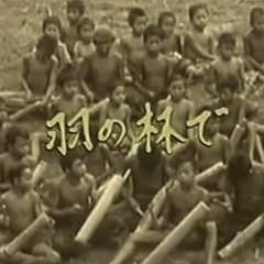 羽の林で 坂本龍一（Cover）
