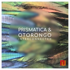 Prismatica & Otorongo - Shared Dream