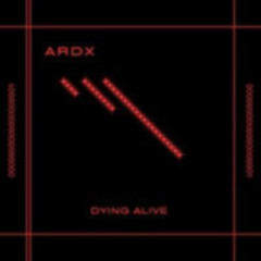 ARDX | Night Please Don´t Go