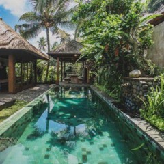 Progressive Minimal .2024.