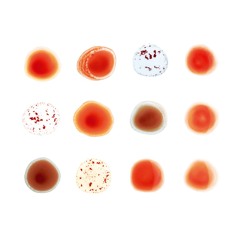 Don't Give Up (feat. Timber Timbre)