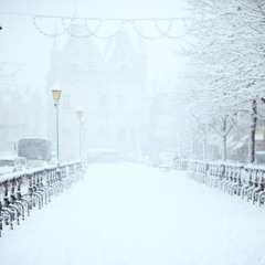 Snowfall Journey: moments as we drift