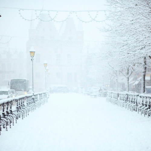 Snowfall Journey: moments as we drift