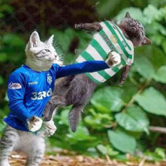 Doing the bouncy all over the world