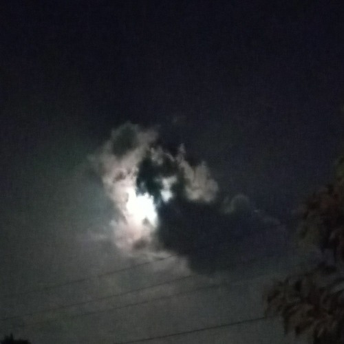 Full Moon cover