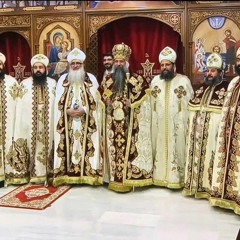 Fr. Dawoud Bebawy - Gregorian Anaphora, Feast of Resurrection 2020 (Arabic)